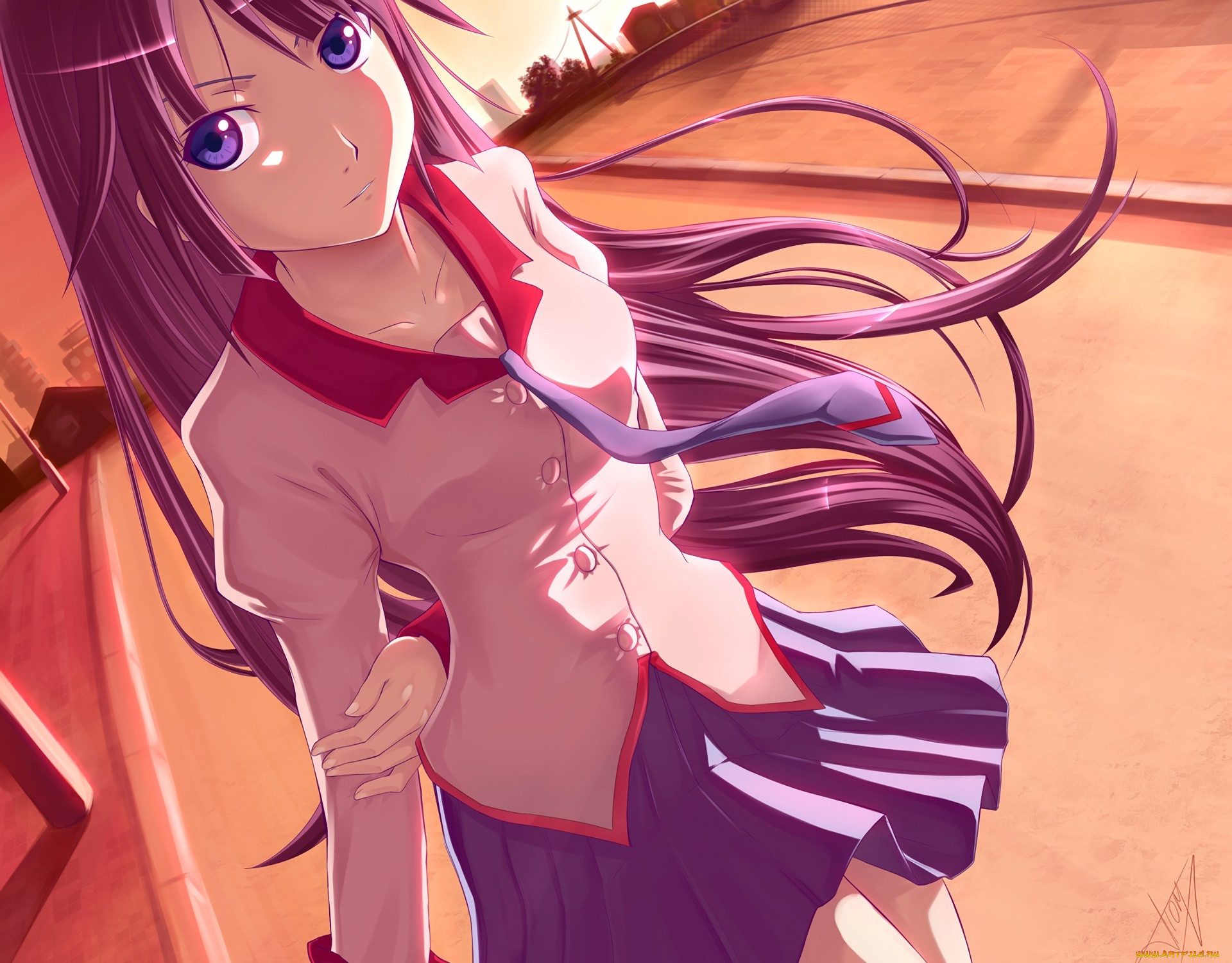 bakemonogatari, , , , 